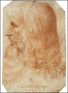 Head of a Woman study by Leonardo da Vinci, various media on paper