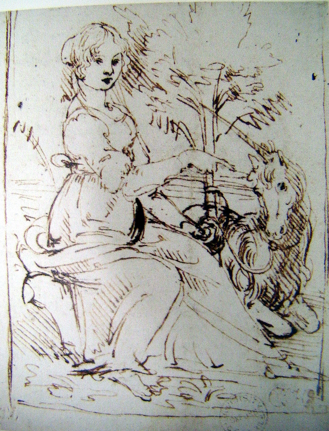 Study of a Lily by Leonardo da Vinci, pen and ink with wash over black chalk, c. 1475