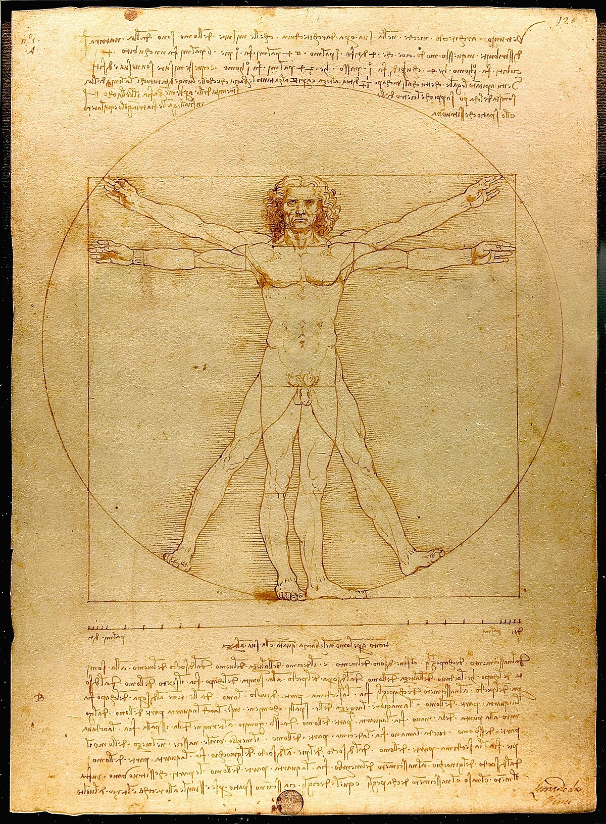 Leonardo's Drawings and Sketches collection